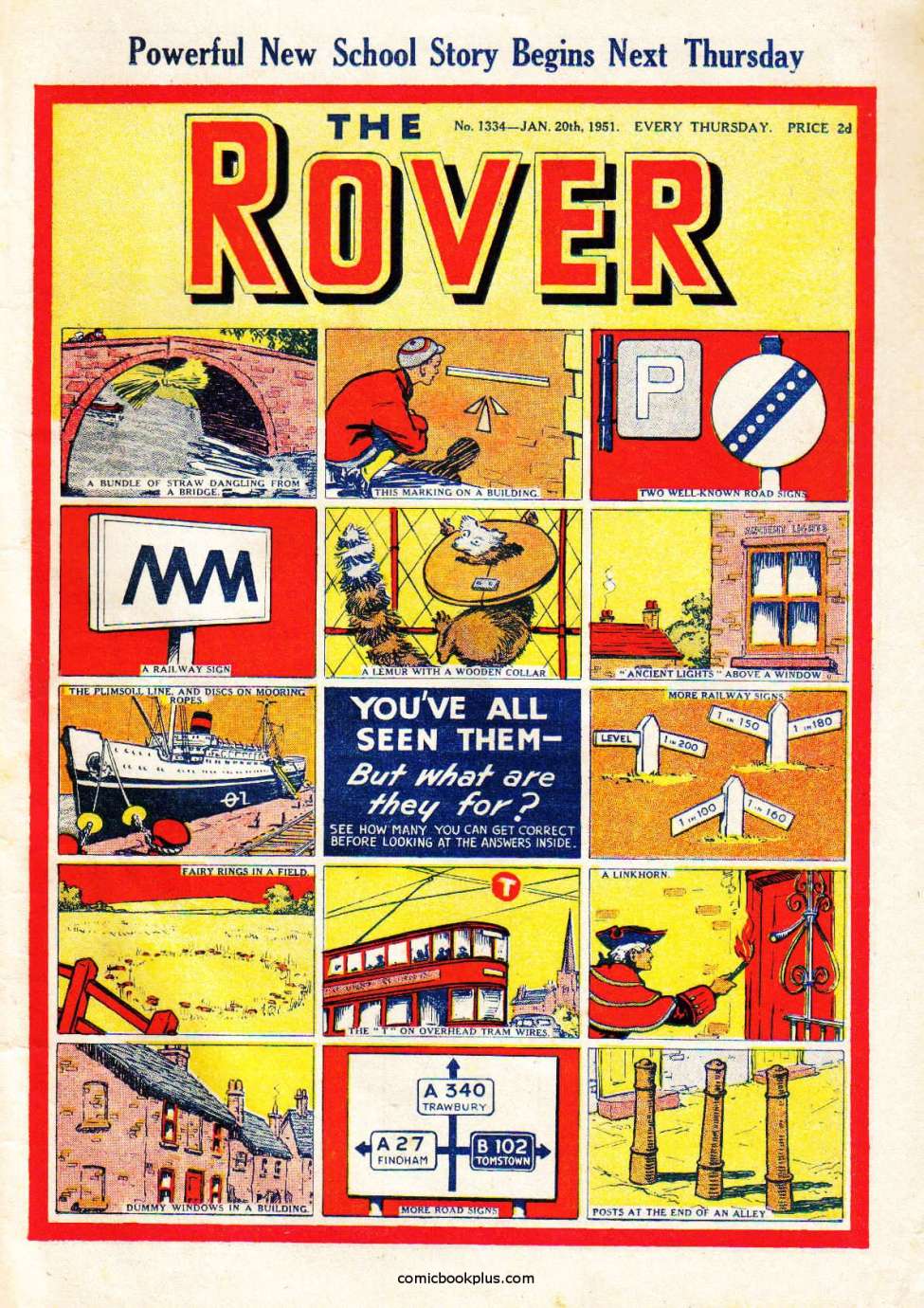 Book Cover For The Rover 1334