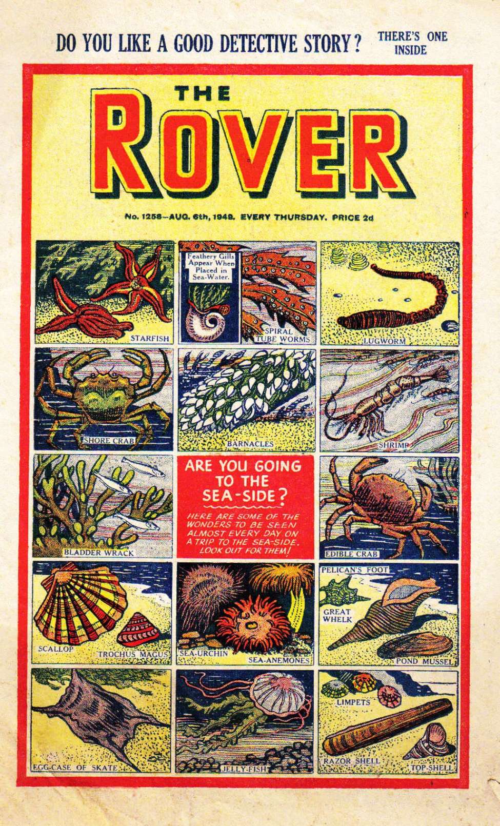 Book Cover For The Rover 1258
