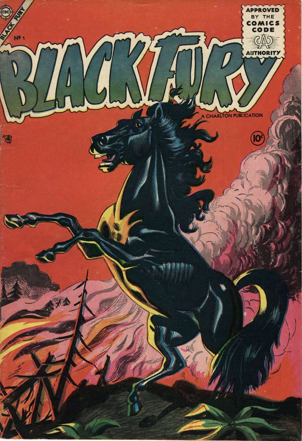 Book Cover For Black Fury 1