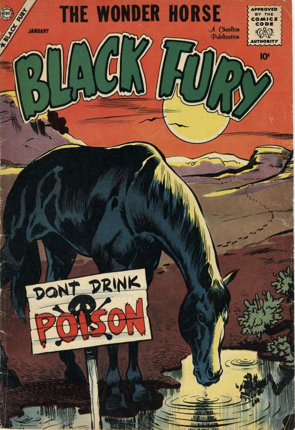 Book Cover For Black Fury 17