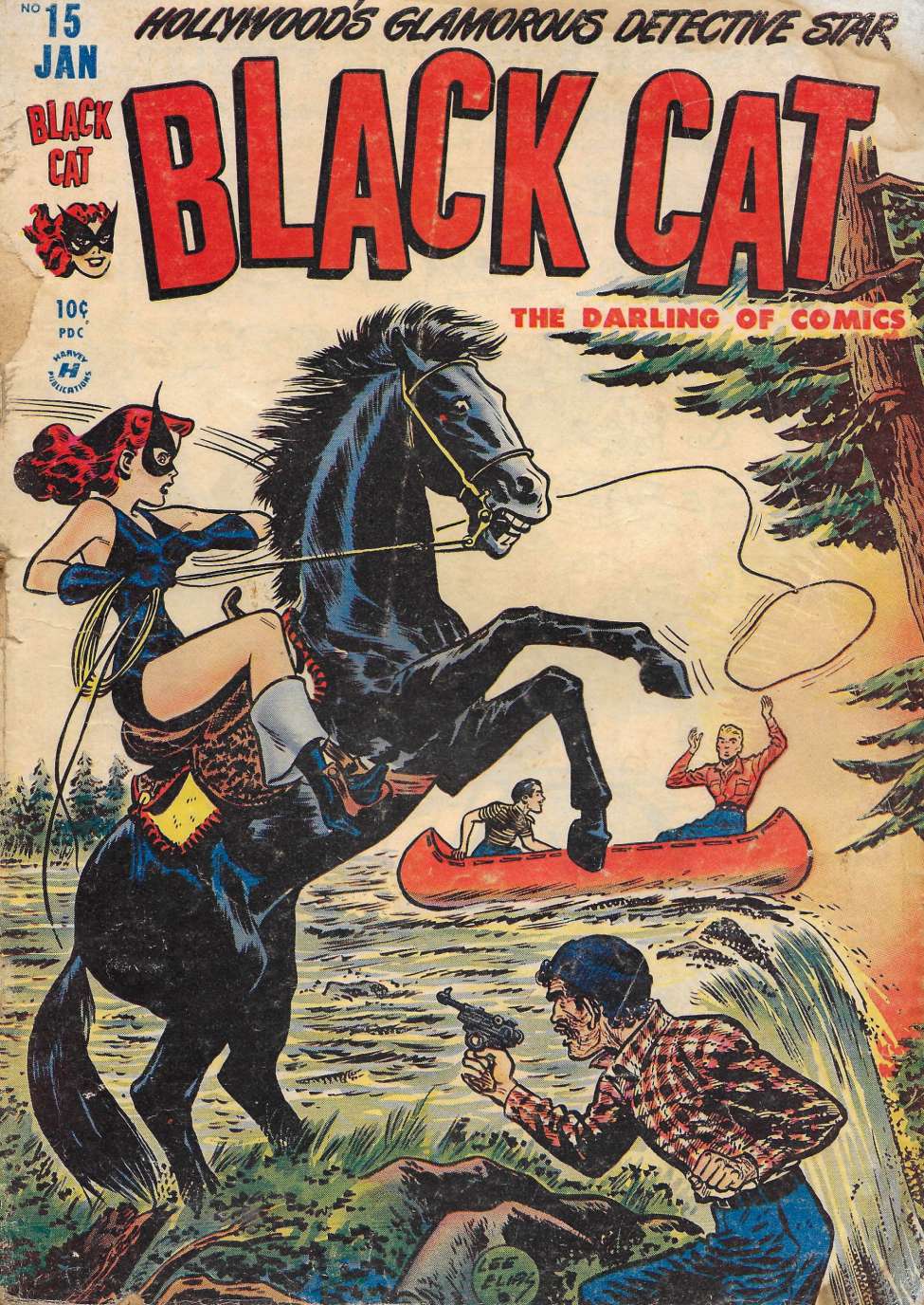 Book Cover For Black Cat 15 - Version 2