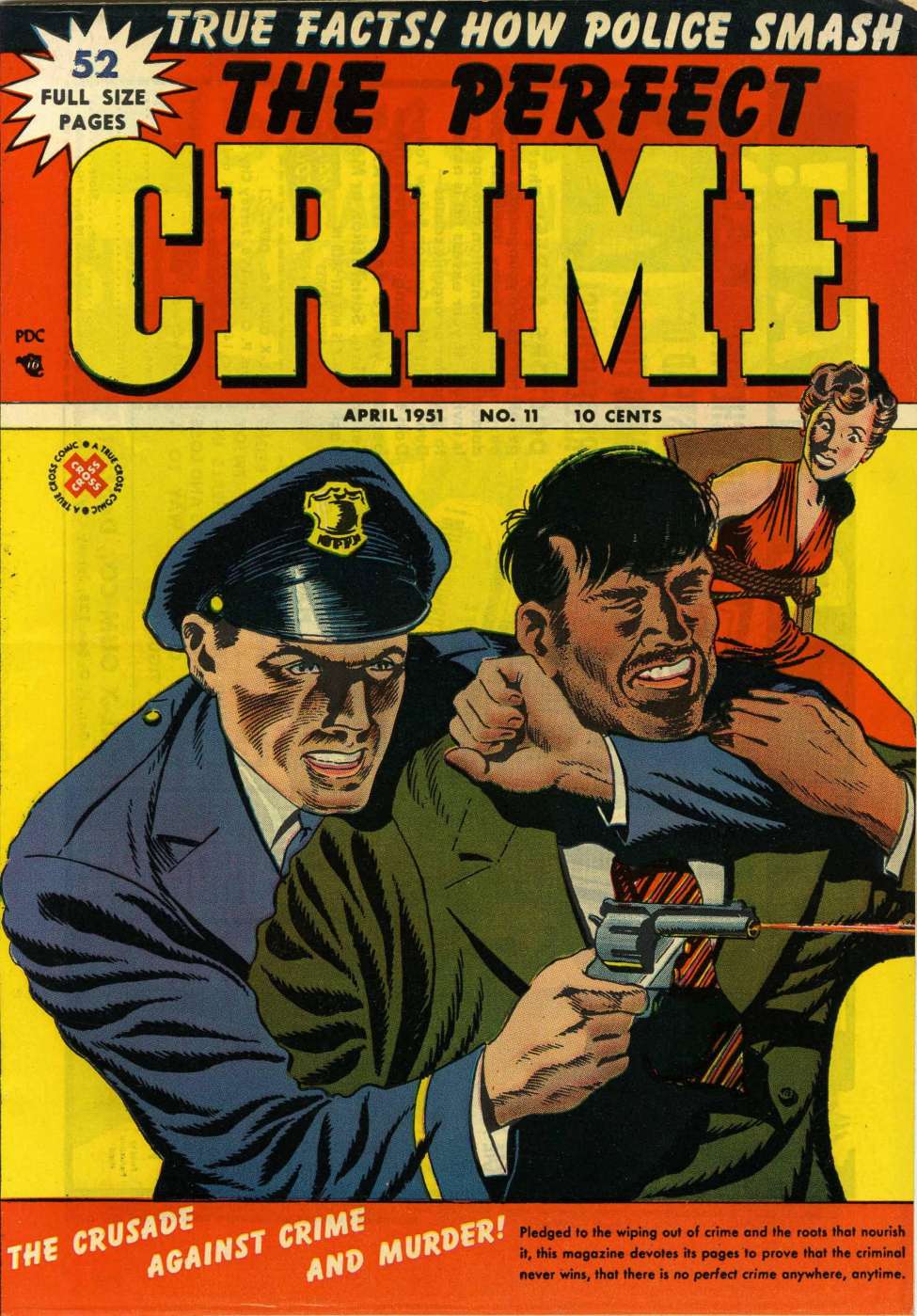 Book Cover For The Perfect Crime 11