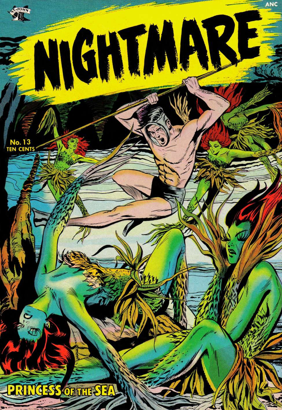 Book Cover For Nightmare 13