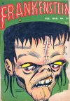 Cover For Frankenstein 23