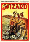 Cover For The Wizard 741