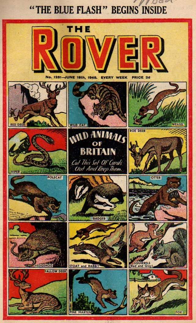 Comic Book Cover For The Rover 1251