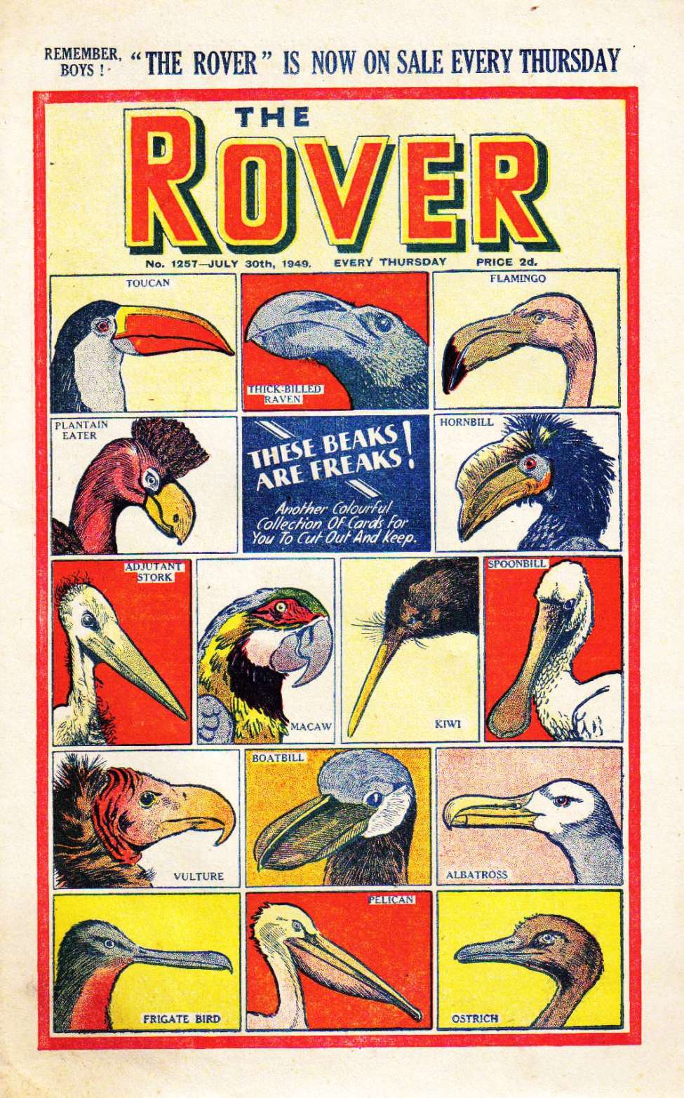 Book Cover For The Rover 1257