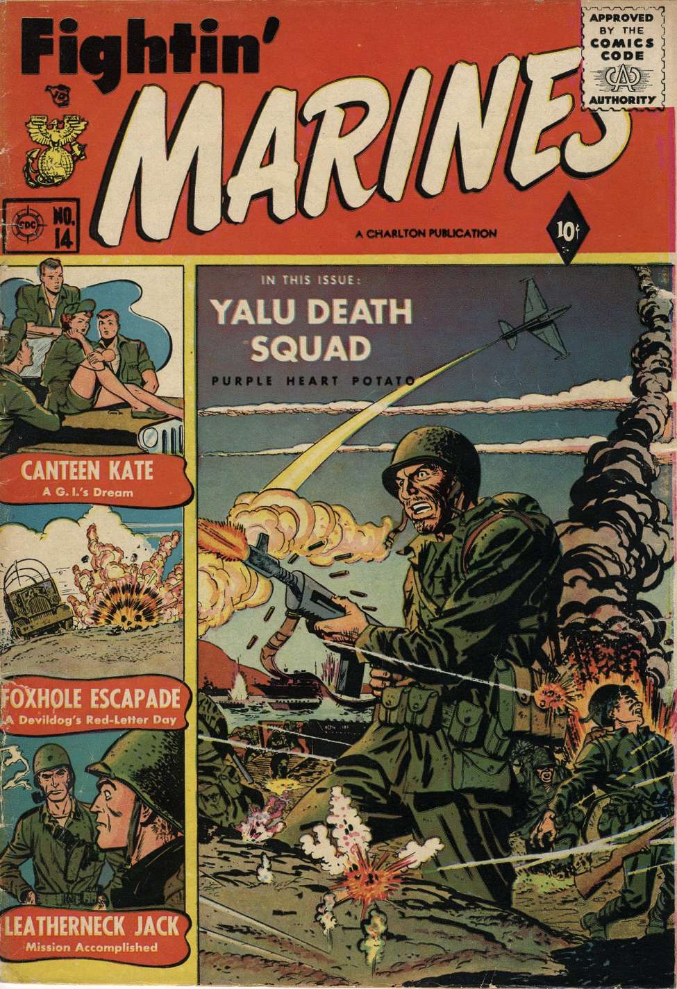 Book Cover For Fightin' Marines 14
