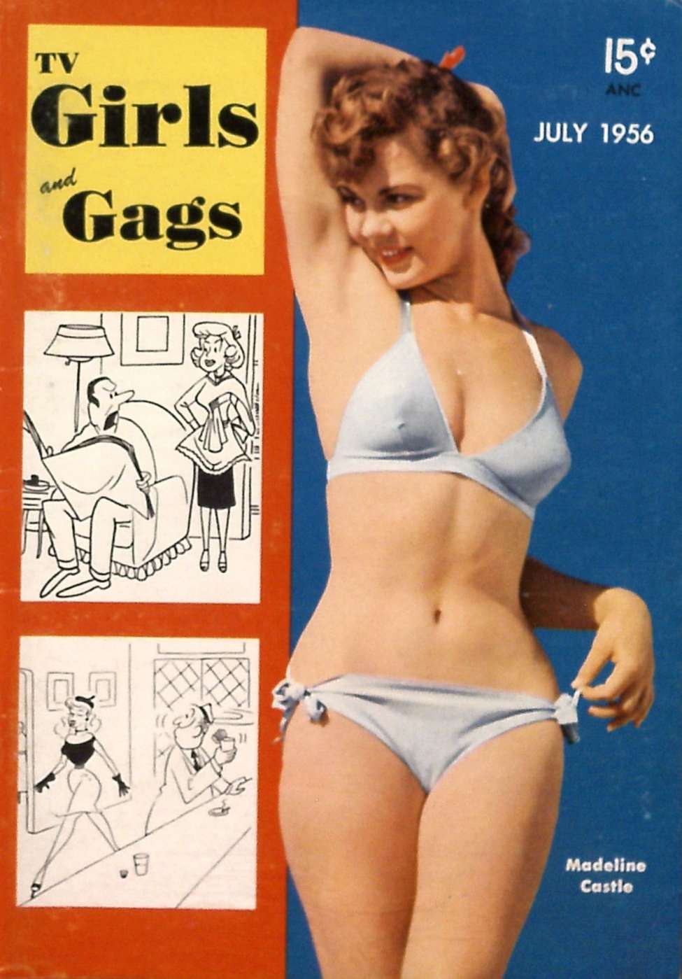 Book Cover For TV Girls and Gags v3 1