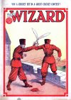 Cover For The Wizard 553