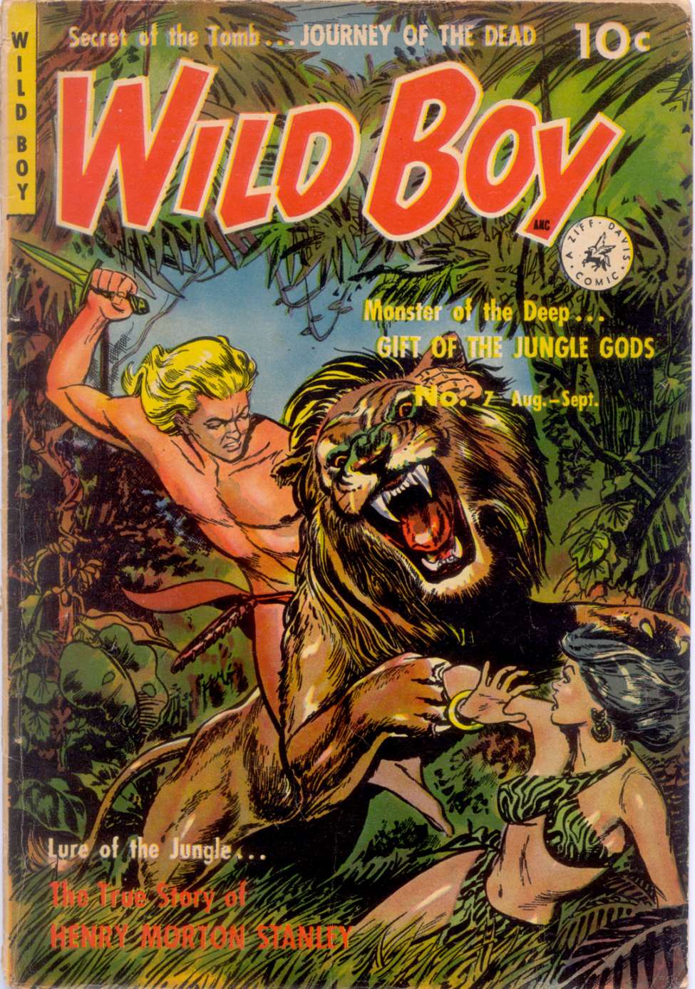 Book Cover For Wild Boy 7