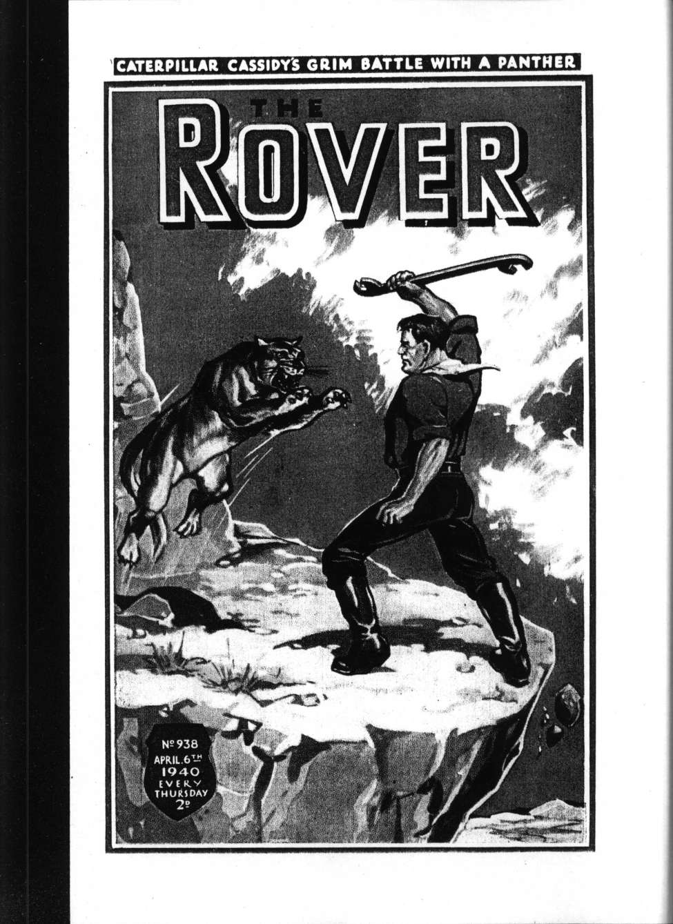 Book Cover For The Rover 938