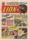 Cover For Lion 396