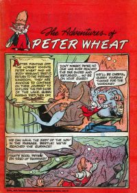 Large Thumbnail For The Adventures of Peter Wheat 37