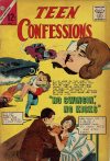 Cover For Teen Confessions 29