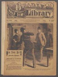 Large Thumbnail For Beadle's Half Dime Library 883 - New York Nat's Crook Chase