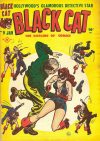 Cover For Black Cat 9