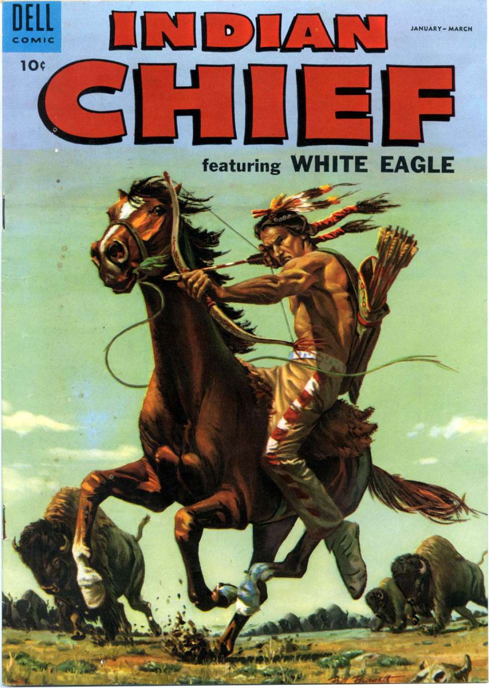Book Cover For Indian Chief 17