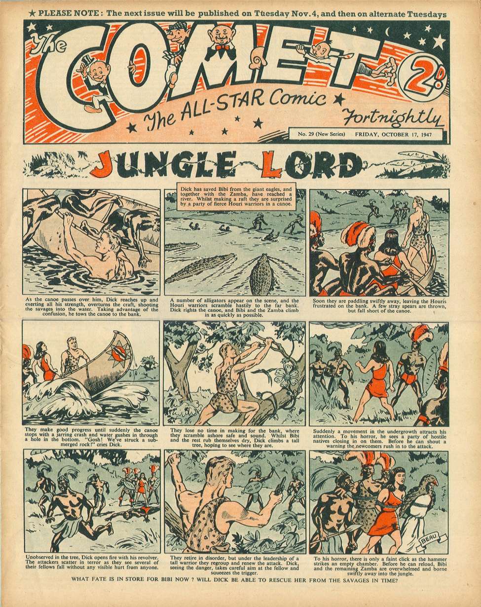 Book Cover For The Comet 29