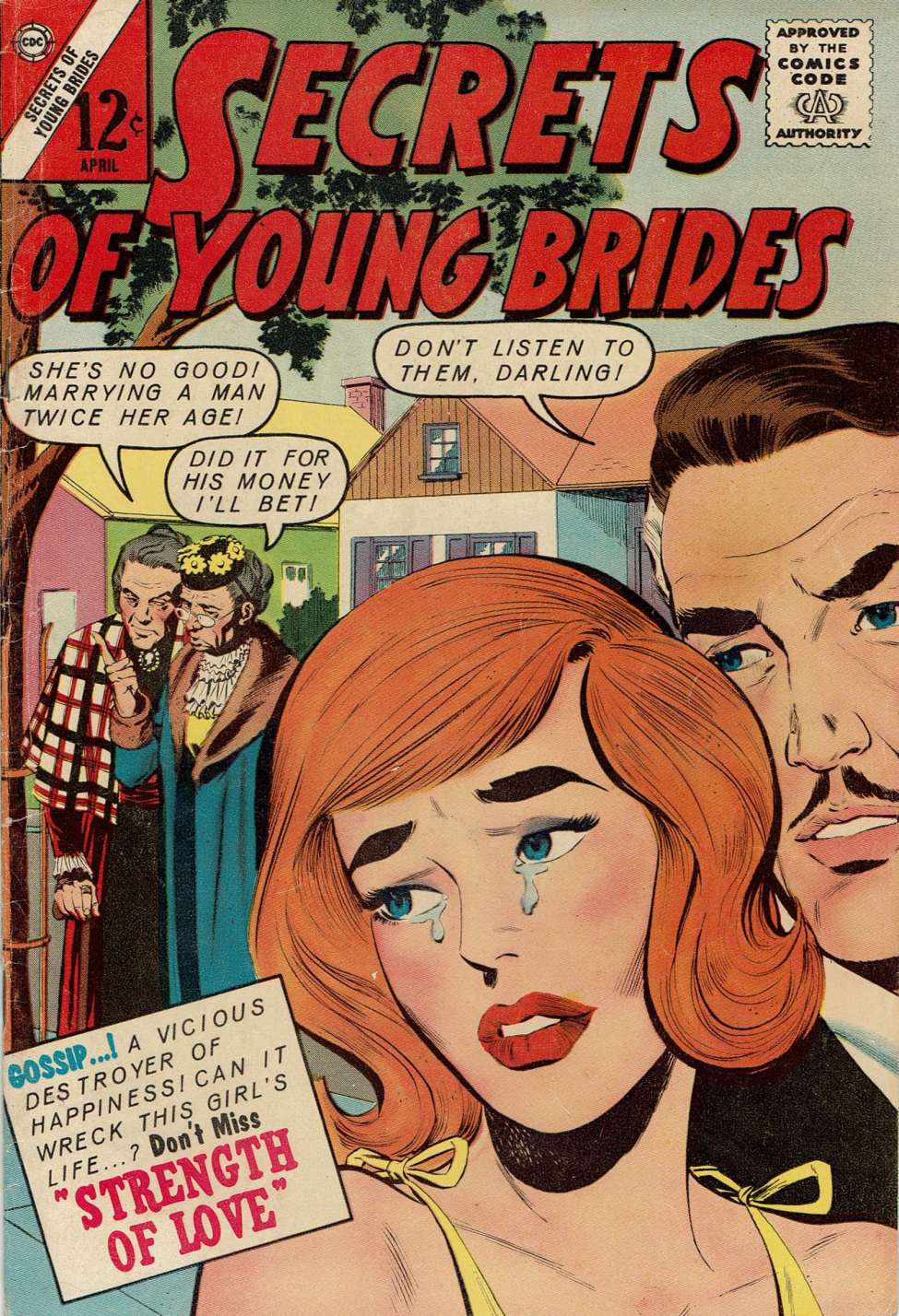 Book Cover For Secrets of Young Brides 36