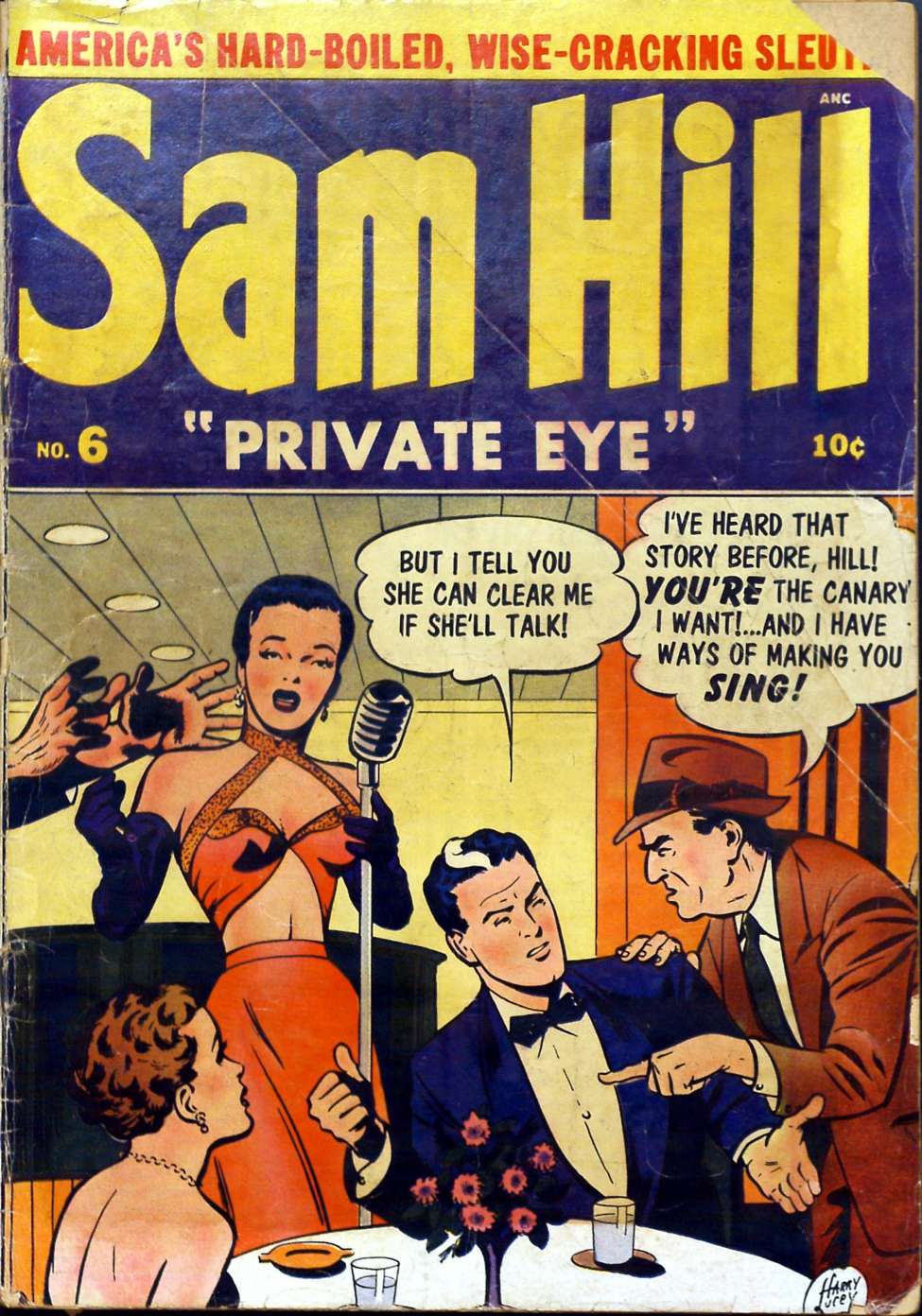 Book Cover For Sam Hill Private Eye 6