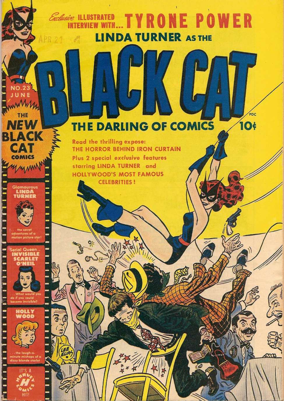 Book Cover For Black Cat 23