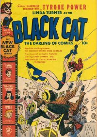 Large Thumbnail For Black Cat 23