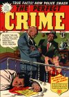Cover For The Perfect Crime 27