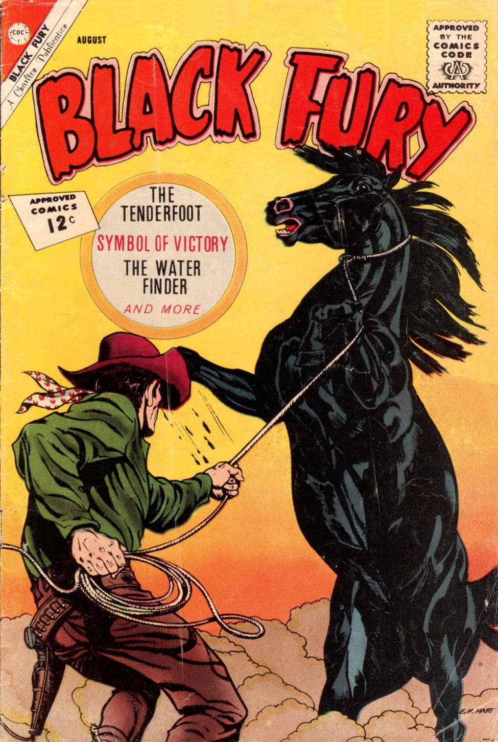 Comic Book Cover For Black Fury 37