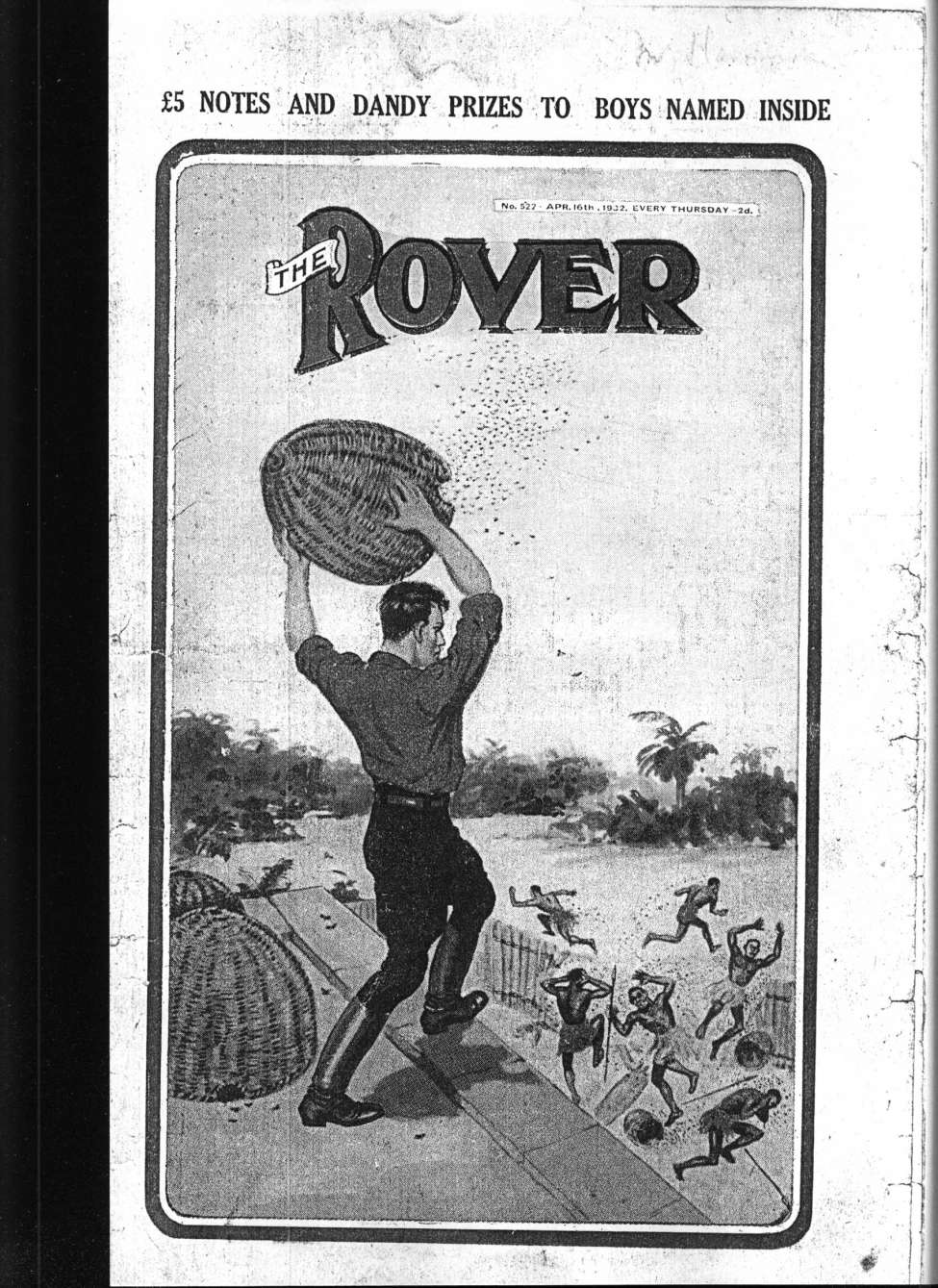 Book Cover For The Rover 522