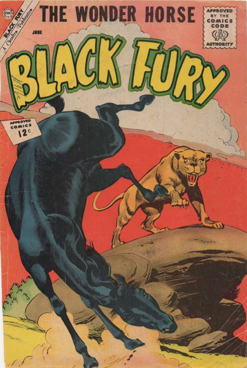 Book Cover For Black Fury 36