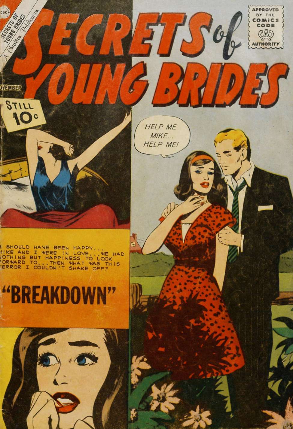Book Cover For Secrets of Young Brides 28