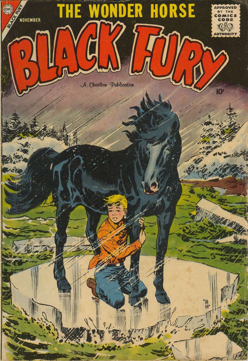 Comic Book Cover For Black Fury 16