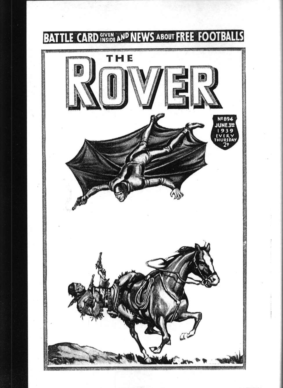 Book Cover For The Rover 894