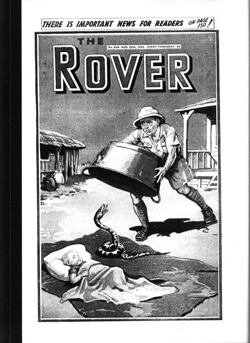 Book Cover For The Rover 958