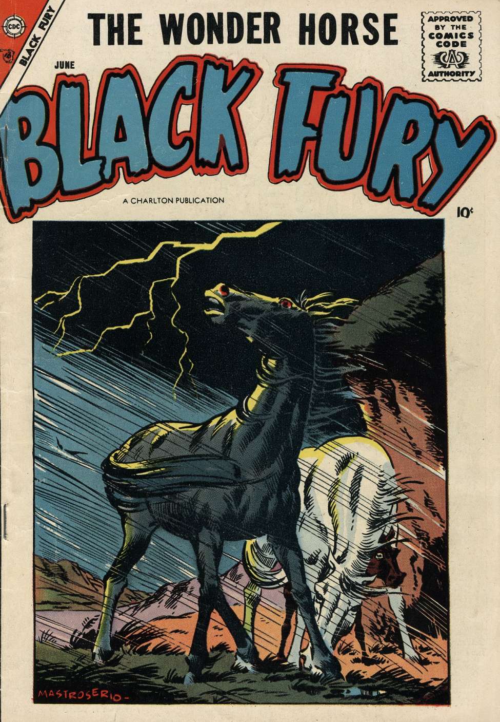 Comic Book Cover For Black Fury 14