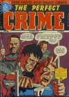 Cover For The Perfect Crime 28