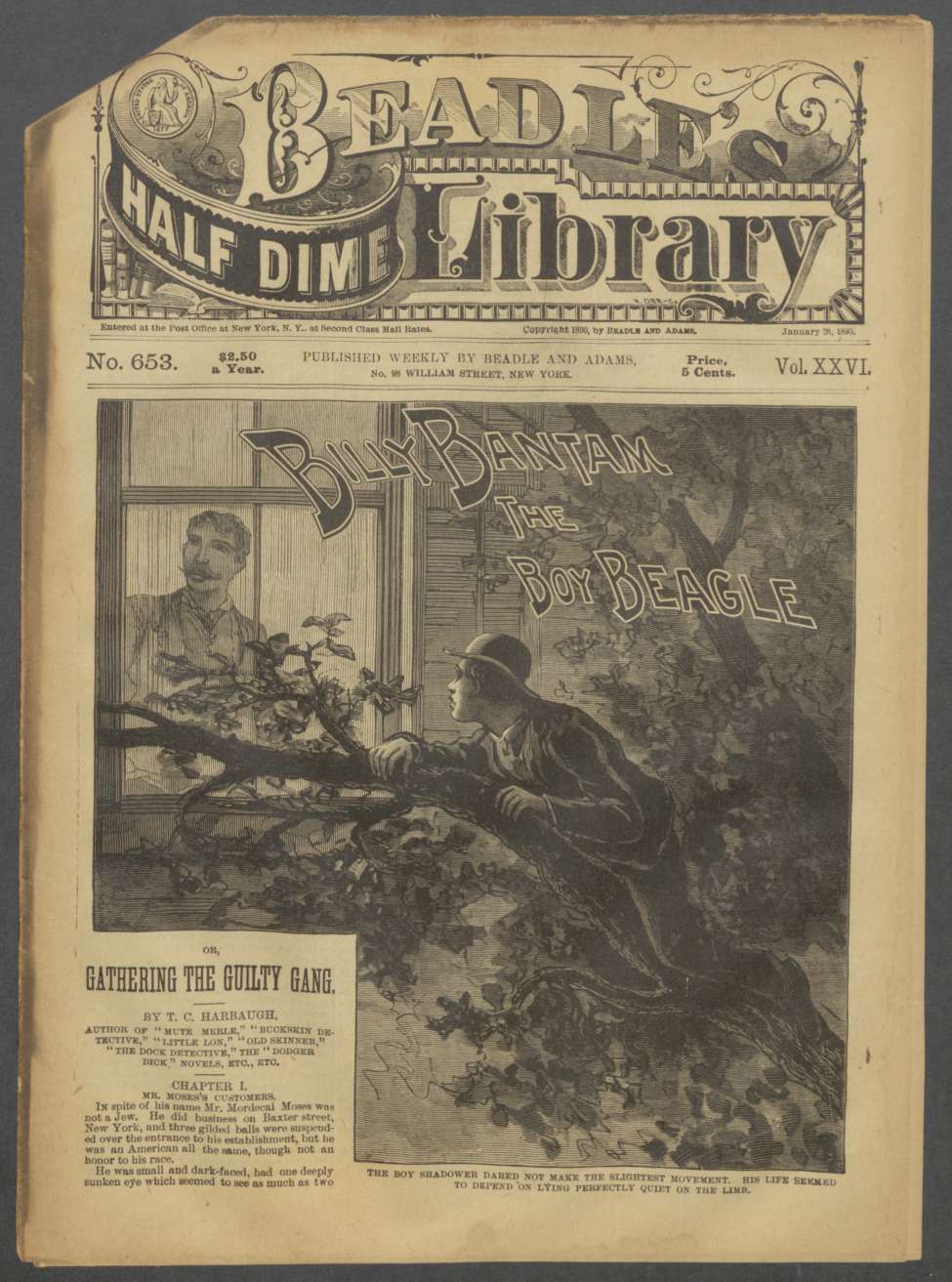 Book Cover For Beadle's Half Dime Library 653 - Billy Bantam, the Boy Beagle