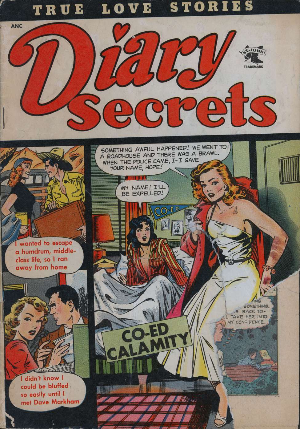 Book Cover For Diary Secrets 15