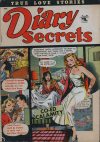 Cover For Diary Secrets 15