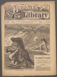 Large Thumbnail For Beadle's Half Dime Library 625 - Chincapin Dan, the Boy Trailer