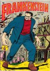 Cover For Frankenstein 19