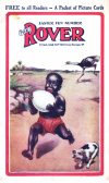 Cover For The Rover 363