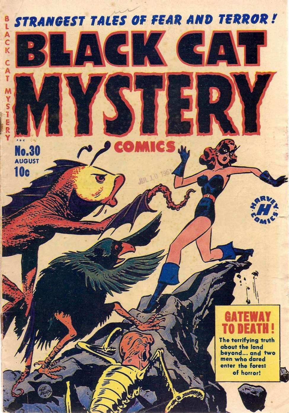 Comic Book Cover For Black Cat 30 (Mystery)