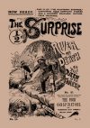 Cover For Halfpenny Surprise 20