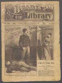 Large Thumbnail For Beadle's Half Dime Library 648 - Deadwood Dick Jr.'s Chase Across the Continent