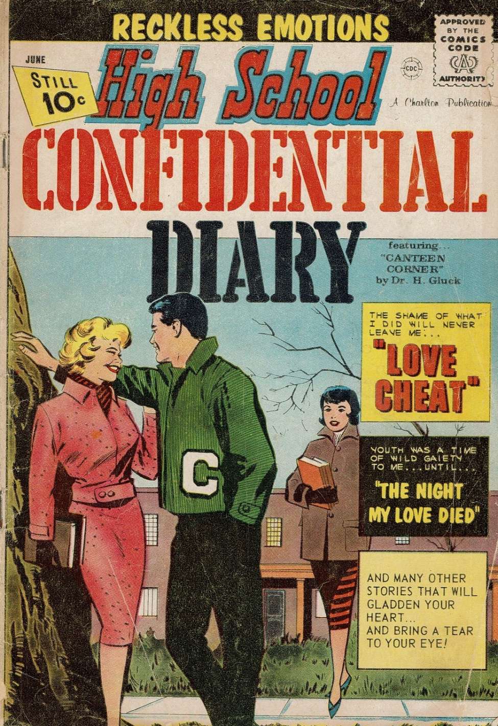 Book Cover For High School Confidential Diary 7