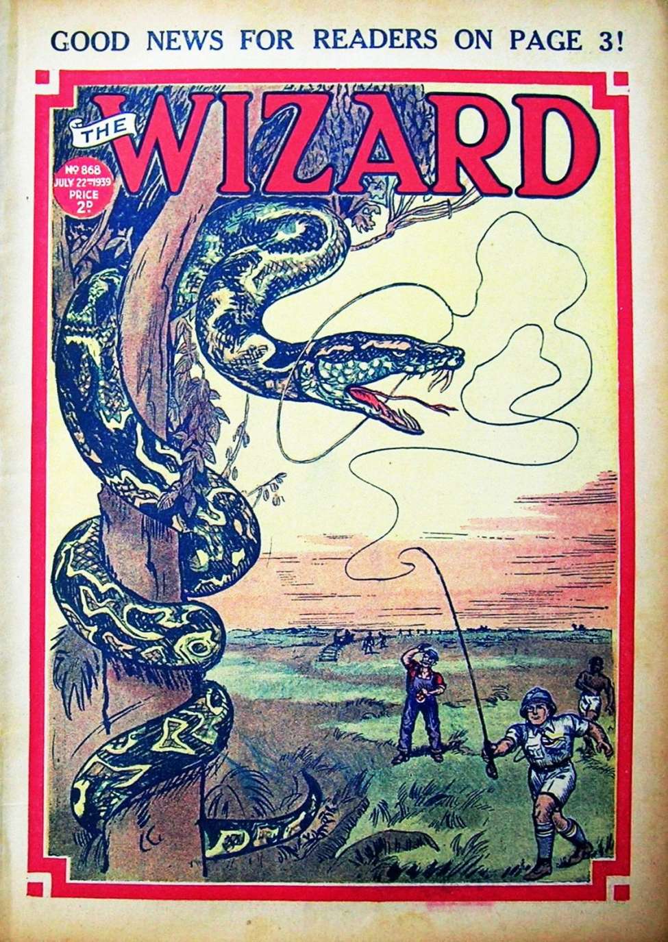 Book Cover For The Wizard 868