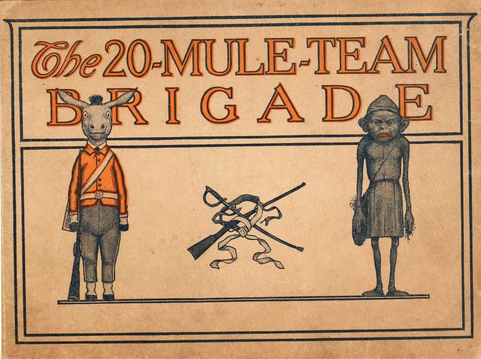 Book Cover For 20 Mule Team Brigade - Peter Newell