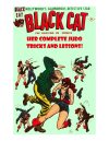 Cover For Black Cat Collected Judo Lessons